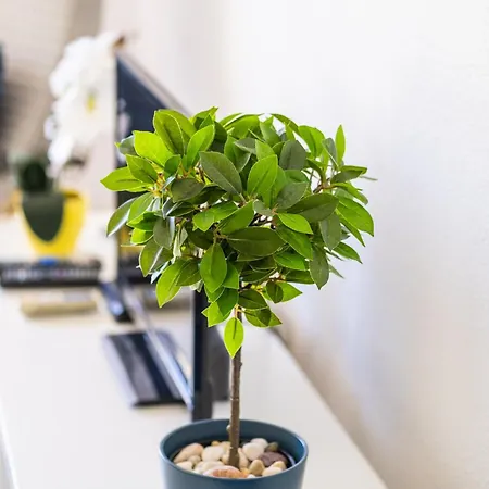 Apartamento Venice By Algarve Vacation Albufeira