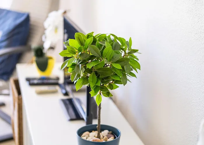 아파트 Venice By Algarve Vacation 알부페이라